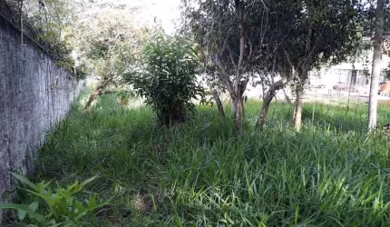 Terreno à venda, 1483 m² por R$ 1.000.000,00 - Jardim Passárgada I - Cotia/SP