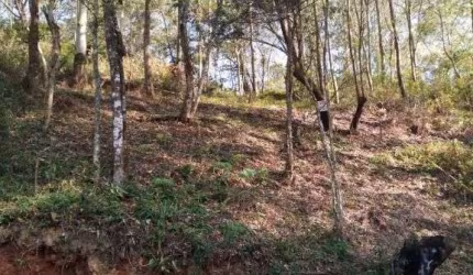Terreno à venda, 700 m² por R$ 130.000,00 - Parque Alvorada - Santana de Parnaíba/SP