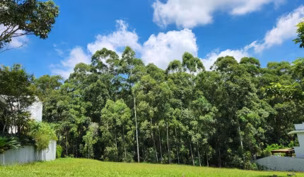 Terreno à venda, 590 m² por R$ 3.085.000,00 - Tamboré - Santana de Parnaíba/SP