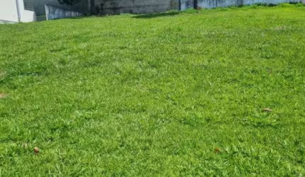 Terreno de 450 m²  - Alphaville - Santana de Parnaíba/SP
