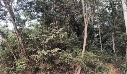 Terreno à venda, 985 m² por R$ 320.000,00 - Parque Sinai - Santana de Parnaíba/SP