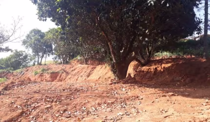 Terreno à venda, 630 m² por R$ 350.000,00 - Jardim Professor Benoá - Santana de Parnaíba/SP