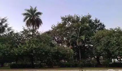 Terreno à venda, 760 m² por R$ 3.200.000,00 - Morumbi - São Paulo/SP