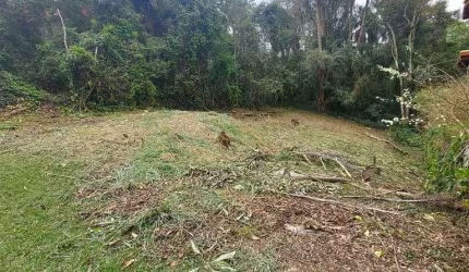Terreno à venda, 381 m² por R$ 216.000,00 - Jardim Atalaia - Cotia/SP
