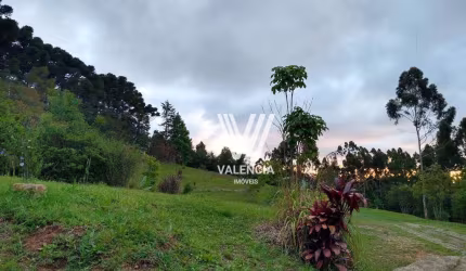 Chácara à venda, 48400 m² por R$ 1.750.000 - Area Industrial Mitra - Campina Grande do Sul/PR