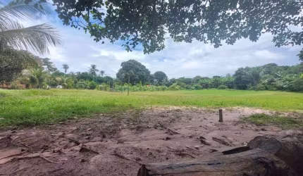 Chácara à Venda em Sitio do Apicum, São José de Ribamar - MA