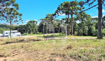 TERRENO EM QUATRO BARRAS.PERFEITO PARA SEU PROJETO PRÓXIMO DA NATUREZA ÁREA DE LAZER BOSQUE ECOPARK