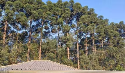 CHÁCARA COM 14.984M2, MUITA ÁGUA, POMAR, PISCINA, QUADRA. PERMUTA POR CASA COM TERRENO.