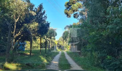 CHÁCARA EM CAMPO LARGO ESTRADA ITAMBÉ 3 CASAS RIO 2 NASCENTES.