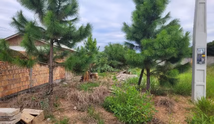 Tenha a trilha e praia como seu quintal, lote plano 6.50 x 27.50 -  Não financia