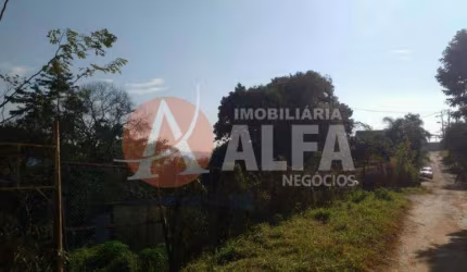 Excelente Terreno com 2.000 m² e pequeno galpão - Bairro Jardim Pioneiro - Cotia/SP