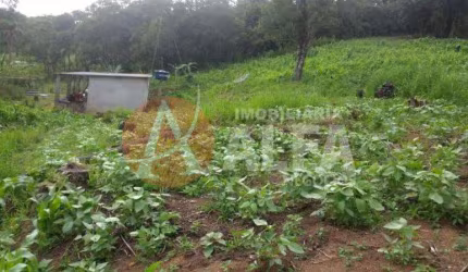 TERRENO 31.0000 M² -(V) VARGEM DO SALTO -IBIÚNA-SP