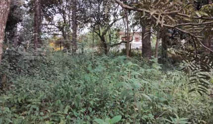 TERRENO DE ESQUINA - 586,2 m² - Bairro gramado -  Cotia/SP