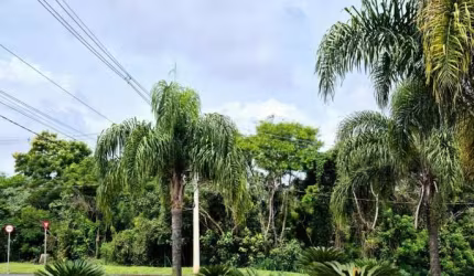 Terreno em Condomínio de Alto Padrão -  Condominio Reserva Santa Paula - Cotia/SP