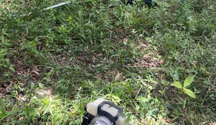 Terreno de 2.000 m² próximo ao centro de Taiaçupeba, Mogi das Cruzes/SP