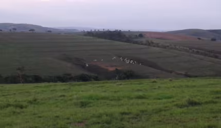 Fazenda com 3 salas à venda na Zona Rural, Tapira , 500 m2 por R$ 18.000.000