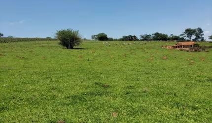 Terreno à venda no Paulicéia, Piracicaba , 1320 m2 por R$ 880.000
