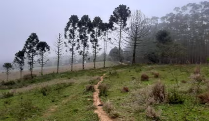 Chácara / sítio à venda no Campo Grande, Pilar do Sul  por R$ 2.100.000