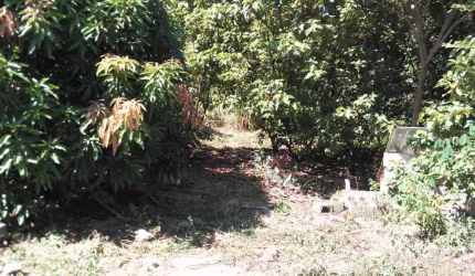 Terreno à venda no Pau Queimado, Piracicaba , 1600 m2 por R$ 240.000