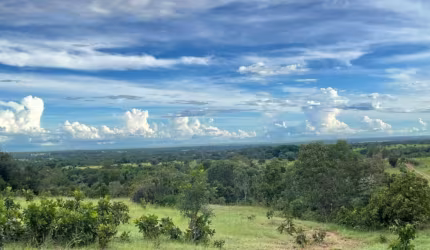 Fazenda com 2 salas à venda na Zona Rural, Aliança do Tocantins , 500 m2 por R$ 28.000.000