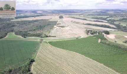 Fazenda com 5 salas à venda na Zona Rural, Perdizes , 2000 m2 por R$ 15.000.000