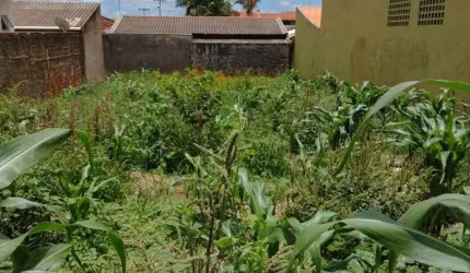 Terreno à venda, 297 m² por R$ 190.000,00 - Jardim Morumbi - Londrina/PR