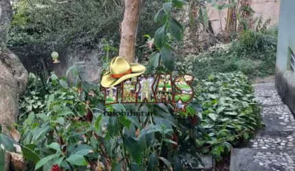 TERRENO VILA CARMOSINA PARA INCORPORAÇAO