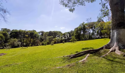 Terreno comercial à venda na Rua José Kleina, Planta Almirante, Almirante Tamandaré por R$ 3.440.000