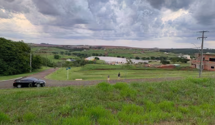 Chácara com 1 dormitório à venda, 2487 m² por R$ 650.000,00 - Rodovia - Sertanópolis/PR