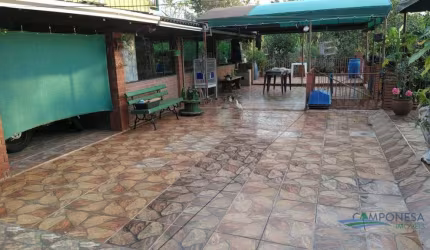 Chácara com 3 dormitórios à venda, 9000 m² por R$ 2.000.000,00 - Jardim Novo Horizonte - Rolândia/PR