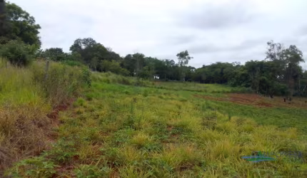 Terreno à venda, 2000 m² por R$ 300.000,00 - Cafezal - Londrina/PR