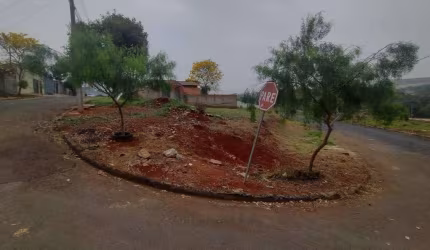 Terreno à venda, 380 m² por R$ 100.000,00 - Jardim Nova Esperança - Londrina/PR