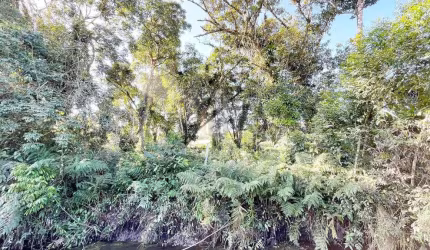 Terreno em Balneário Nereidas - Guaratuba, PR