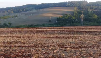 Fazenda/Sítios/Chácaras Recanto do Salto