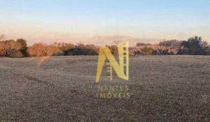 Terreno à venda, 8464 m² por R$ 2.550.000 - Estância Cabral - Cambé/PR