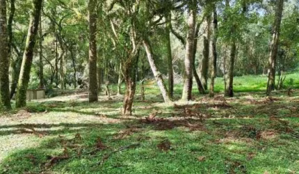 Chácara / sítio com 1 quarto à venda na Estrada Particular, 3, Jardim Bela Vista, Balsa Nova por R$ 299.000