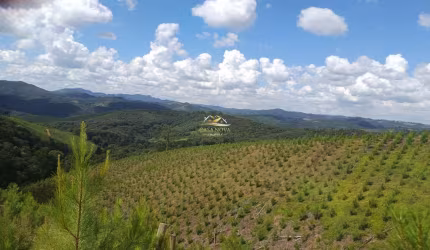 Chácara / sítio com 1 quarto à venda na Estrada Rural, 1, Centro, Campo Magro por R$ 2.500.000