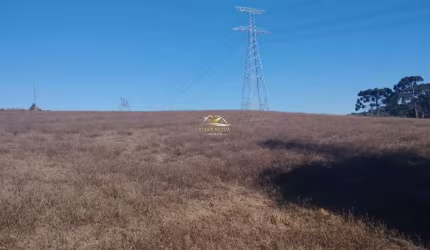 Chácara / sítio com 1 quarto à venda na Estrada Do Felpudo, 1, Felpudo, Campo Largo por R$ 4.500.000
