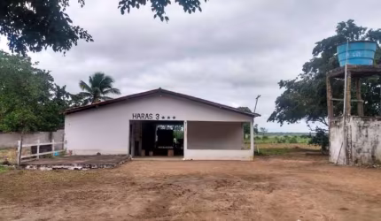 Chácara com 3 dormitórios à venda, 91476 m² por R$ 980.000 - Asa Branca - Feira de Santana/BA