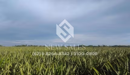 Fazenda de 136,6 Alqueires em Abreulândia-TO! Oportunidade!