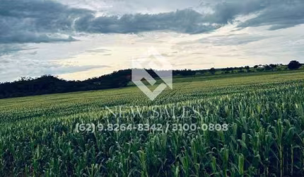 Fazenda na região de Araguaína-TO! 822 Hectares! OPORTUNIDADE DE MERCADO