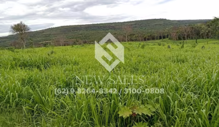 Fazenda à venda em Pontal do Araguaia-MT! 100 Alqueires!
