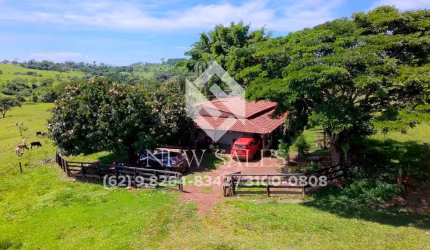 chacara`
 de 3 alqueires 20 litros anicuns goias