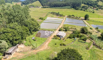 Sítio com 1 dormitório à venda, 90649 m² por R$ 900.000,00 - Rio Morto - Rodeio/SC