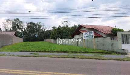 Terreno à venda, 1146 m² por R$ 680.000,00 - Padre Martinho Stein - Timbó/SC