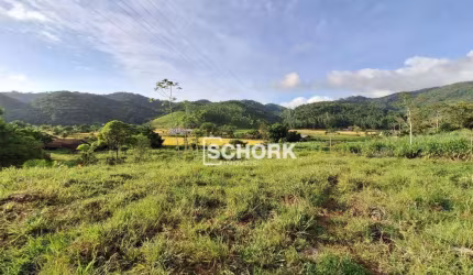 Sítio com 5 dormitórios à venda, 93027 m² por R$ 990.000,00 - Saxônia - Ascurra/SC