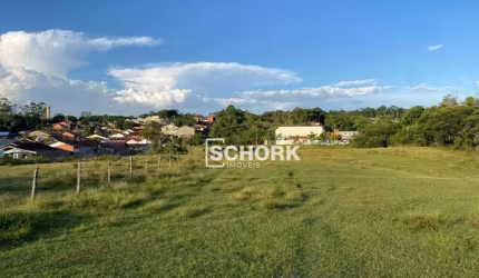 Terreno à venda, 19199 m² por R$ 2.599.900,00 - Mulde - Indaial/SC