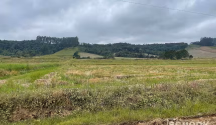 Terreno à venda, 115.237 m² por R$ 1.380.000 - Centro - Rio do Campo/SC