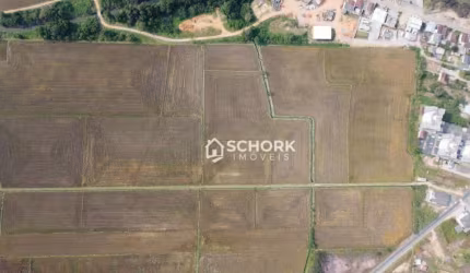Terreno à venda, 62500 m² por R$ 3.800.000,00 - Gaspar Grande - Gaspar/SC