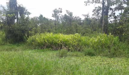 Terreno, Balneário Barigui, Mongaguá - R$ 50 mil, Cod: 70509307